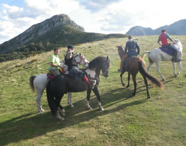 Girando a los animales